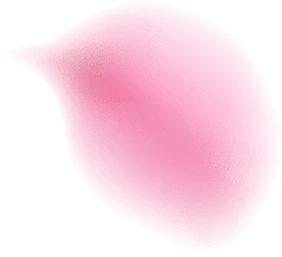 桜はなびら