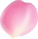 桜はなびら