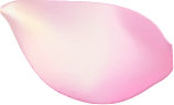 桜はなびら